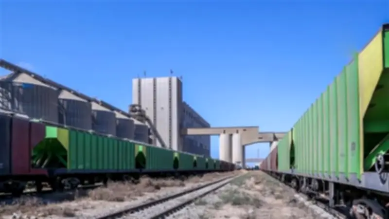 ميناء دمياط يسجل حركة نشطة: 10 سفن واردة و11 صادرة خلال 24 ساعة