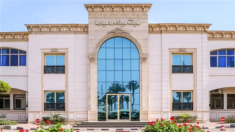 ميناء دمياط يسجل انتعاشة ملحوظة في حركة الملاحة باستقبال 11 سفينة وتداول 72 ألف طن بضائع