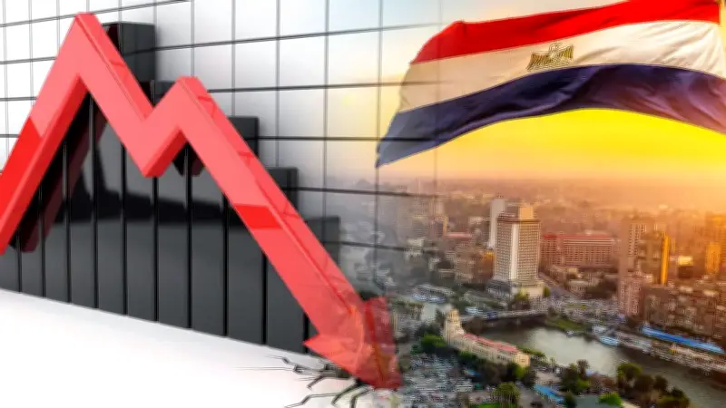 برلماني: تراجع التضخم إلى 11.9% في يناير 2026 يعكس نجاح السياسات الاقتصادية