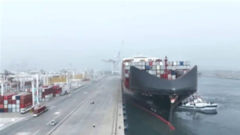 ميناء دمياط يشهد انتعاشة قوية باستقبال 14 سفينة وتداول 90 ألف طن بضائع خلال 24 ساعة