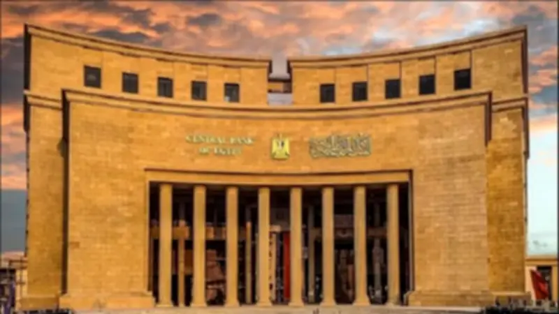 مراكز رواد النيل تقدم 19 مليار جنيه تمويلات لنصف مليون مستفيد خلال 5 سنوات