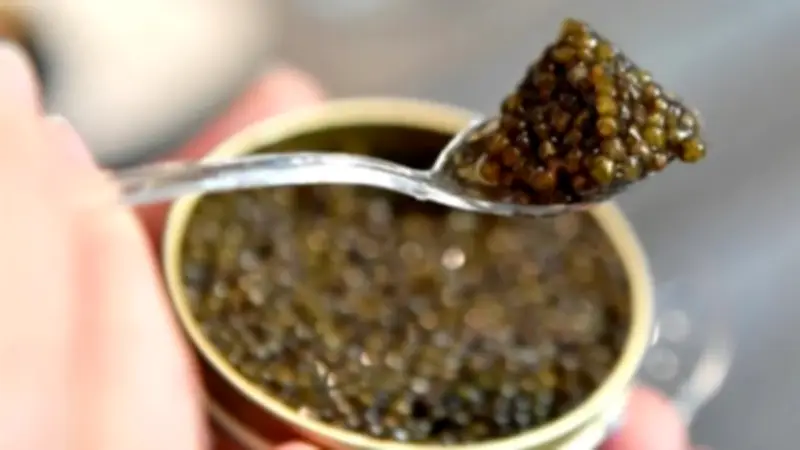 مليون و200 ألف جنيه للكيلو.. أغلى 10 أطعمة في العالم لعام 2026 تتصدرها أنواع نادرة من الكافيار