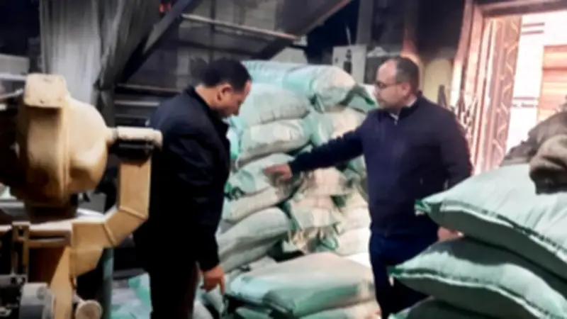 الدقهلية تشن حملات تموينية مكثفة وتضبط 201 مخالفة في الأسواق والمخابز