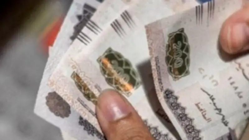 منحة رمضان 2026 بقيمة 1000 جنيه لعمال الكهرباء.. تفاصيل الدعم الاجتماعي