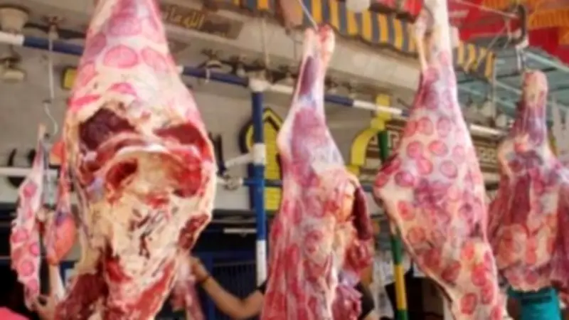 استقرار أسعار اللحوم في أول أيام رمضان 2026.. البتلو يسجل 415 جنيها للكيلو