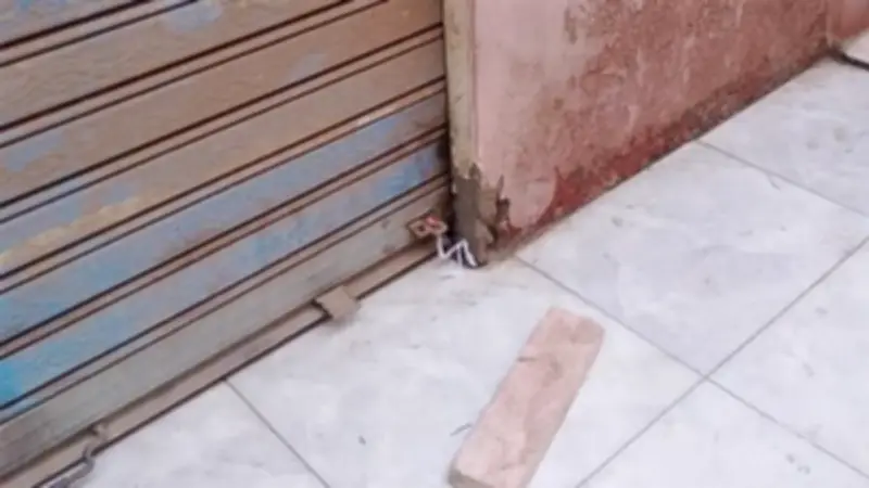 ترخيص المحلات 2026: خصم 50% على الرسوم حتى 14 يونيو لتقنين الأوضاع