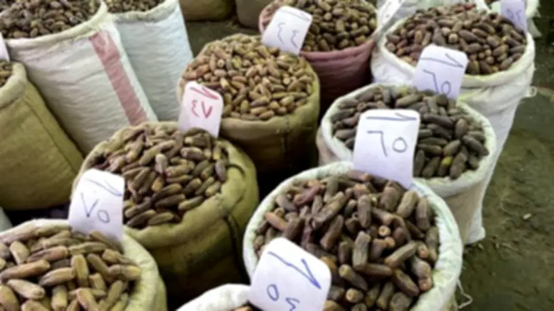 أسعار بلح رمضان 2026 في سوق الساحل بروض الفرج: الفئة المتوسطة من 80 إلى 130 جنيهاً والفاخرة تصل لـ200 جنيه