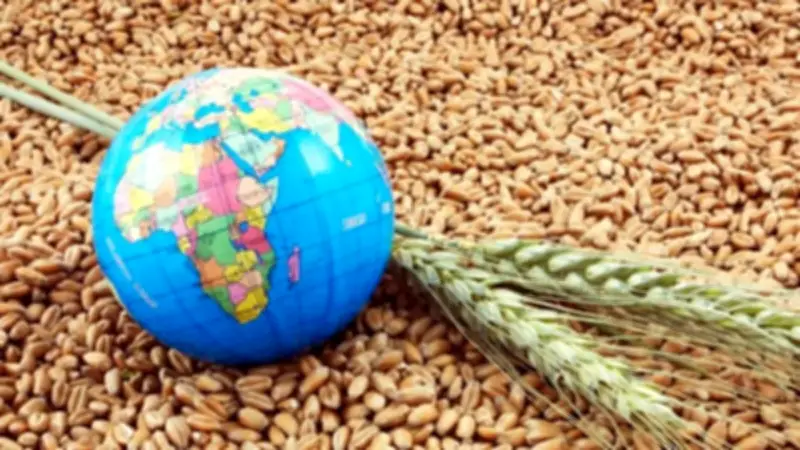 مشروع مستقبل مصر: ركيزة الأمن الغذائي والتنمية الاقتصادية حتى 2050