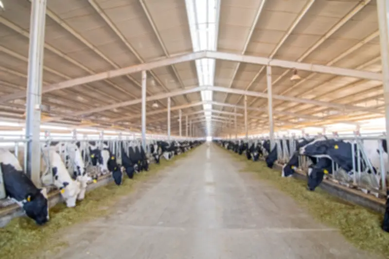 تمويل جديد بقيمة 297 مليون جنيه لمشروع البتلو لصالح 425 مستفيداً