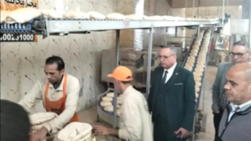 ضبط 3 أطنان أغذية فاسدة و217 مخالفة في حملات تموينية بالدقهلية