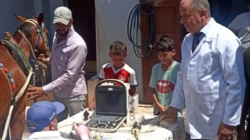 كفر الشيخ: تشخيص وعلاج 3845 رأس ماشية ضمن خطة تنمية الثروة الحيوانية