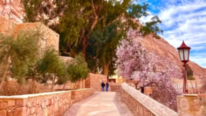 396 سائحًا يتسلقون جبل موسى مع بدء الصوم الكبير وإغلاق دير سانت كاترين