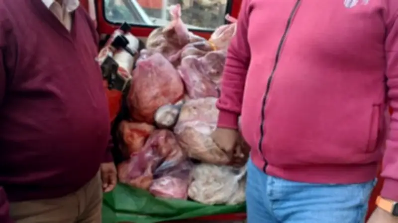 ضبط 60 طن لحوم فاسدة وتحرير 45 محضر مخالفة في حملة تموينية بالجيزة