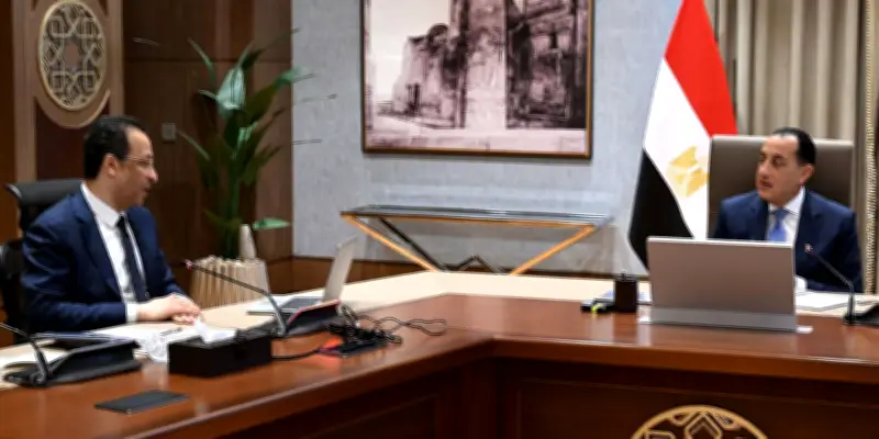 مصر تستهدف 630 ألف فرصة عمل في مجال التعهيد بحلول 2029 مع 181 ألف فرصة في 2025