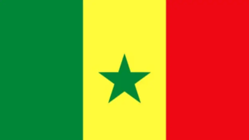 السنغال تستهدف ربط 6471 قرية بالكهرباء بحلول 2029 باستثمار 724 مليون دولار