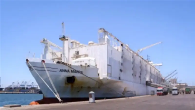 ميناء دمياط يشهد انتعاشة ملاحية باستقبال ناقلة غاز عملاقة و694 رأس ماشية