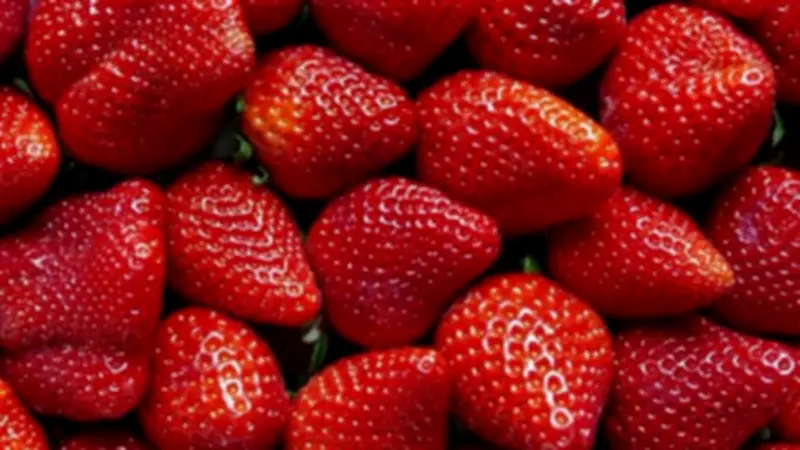 مصر تتصدر العالم في تصدير الفراولة المجمدة بصادرات قياسية تبلغ 697 مليون دولار