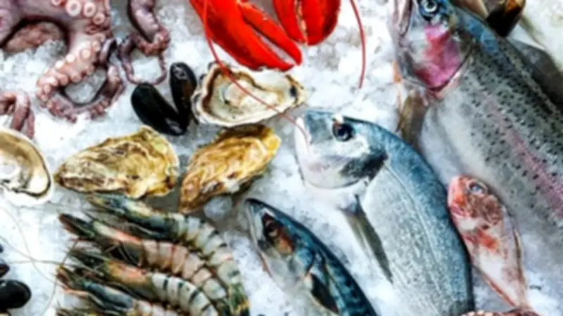 ارتفاع أسعار السمك في سوق العبور: البلطي يتجاوز 70 جنيهاً والسبيط يرتفع 30 جنيهاً