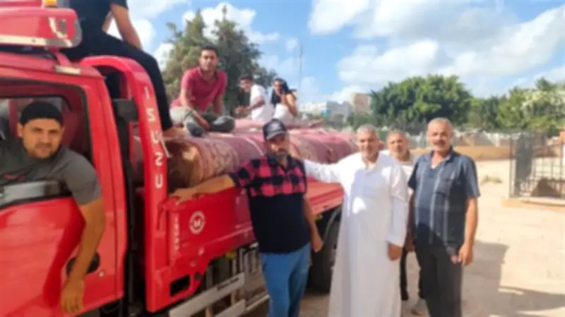 الأوقاف تعلن فرش 719 مسجدًا وافتتاح 277 مسجدًا استعدادًا لشهر رمضان المبارك