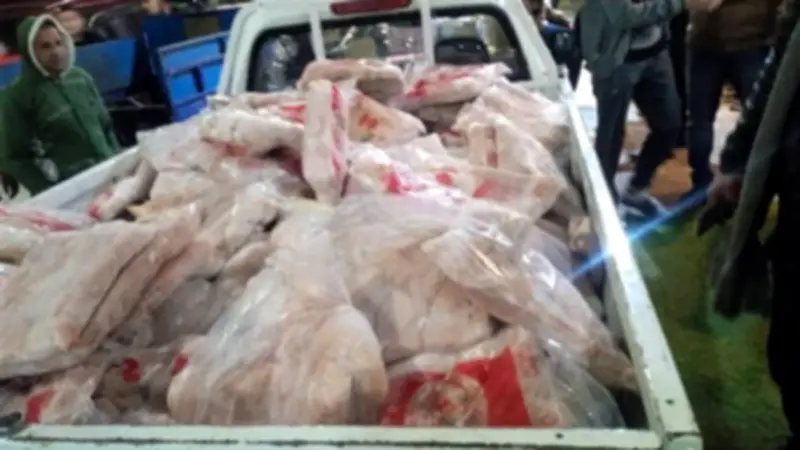 ضبط 770 كيلو دواجن منتهية الصلاحية في حملة تموينية مكبرة بالقليوبية