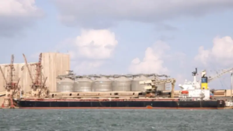 ميناء دمياط يشهد حركة تجارية نشطة باستقبال 8 سفن وتصدير 39 ألف طن بضائع