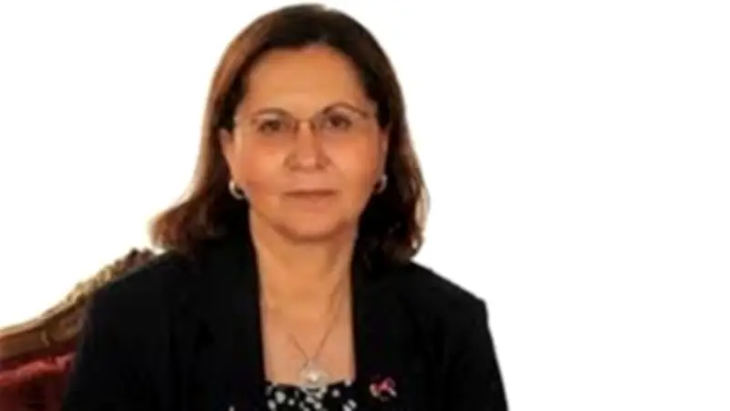 عالية المهدي: أولويات الحكومة بعد صندوق النقد زيادة الإيرادات وتنمية الاستثمار