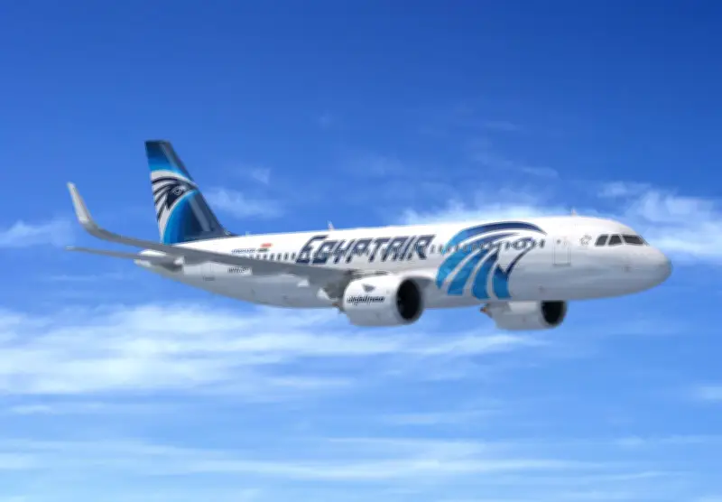 الحكومة المصرية تنفي تسريب بيانات العاملين بشركة مصر للطيران