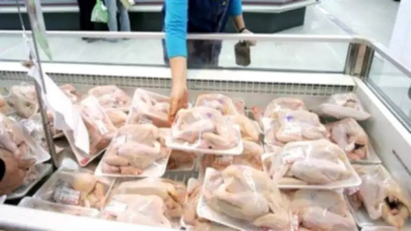 رئيس شعبة الثروة الداجنة: أجزاء الدواجن المستوردة تخضع لرقابة صارمة وآمنة للاستهلاك