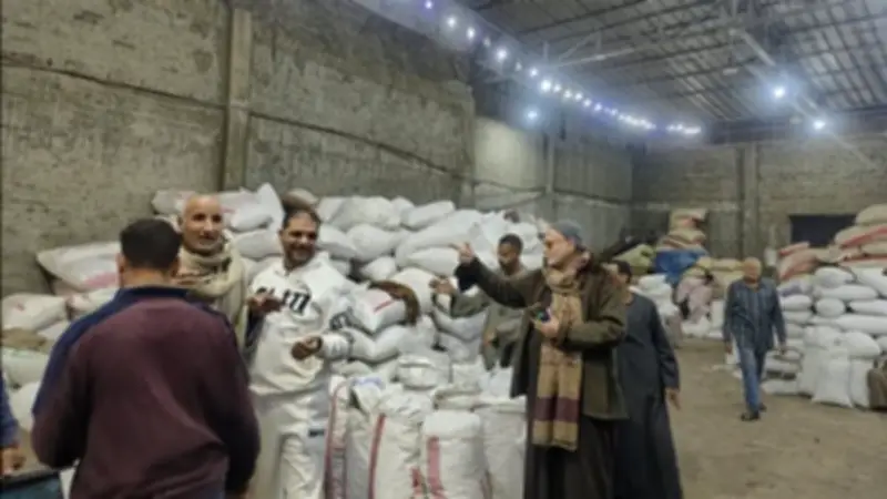 شادر البلح بالطميهي في المنصورة: ملتقى تجار الصعيد يجمع خيرات الجنوب للدلتا