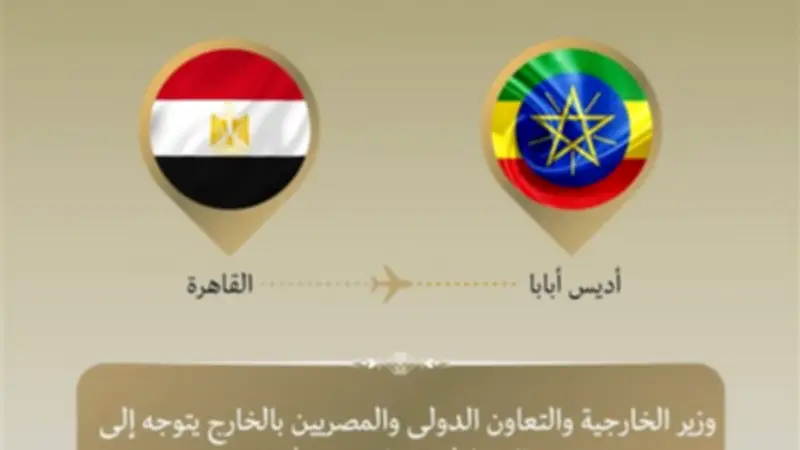 وزير الخارجية المصري يترأس وفد بلاده في قمة الاتحاد الأفريقي بأديس أبابا