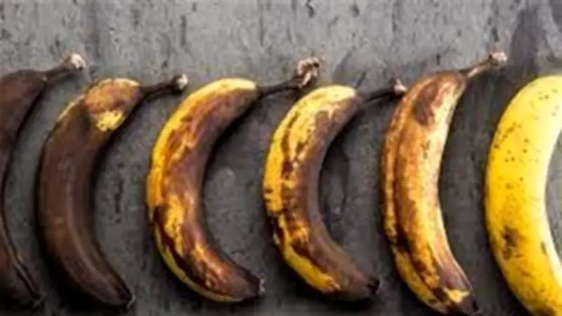 تفسير رؤية الموز الفاسد في منام المتزوجة: دلالات الهموم والأحزان والتحذيرات