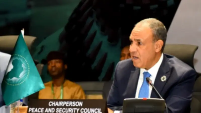 وزير الخارجية المصري يطالب بمسار إنساني فوري لضمان وصول المساعدات للسودان