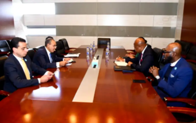 مباحثات مصرية غانية لتعزيز العلاقات الثنائية ودعم الاستقرار الإقليمي