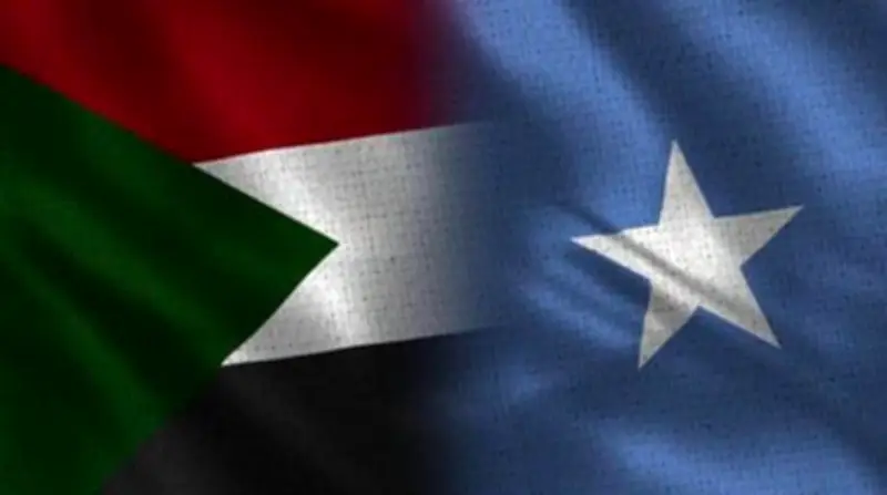 مجلس السلم والأمن الأفريقي يعتمد بيانين لدعم وحدة وسيادة السودان والصومال