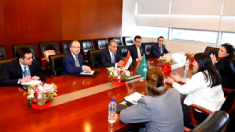 وزير الخارجية يؤكد دعم مصر لتطوير الأداء المؤسسي لمفوضية الاتحاد الأفريقي