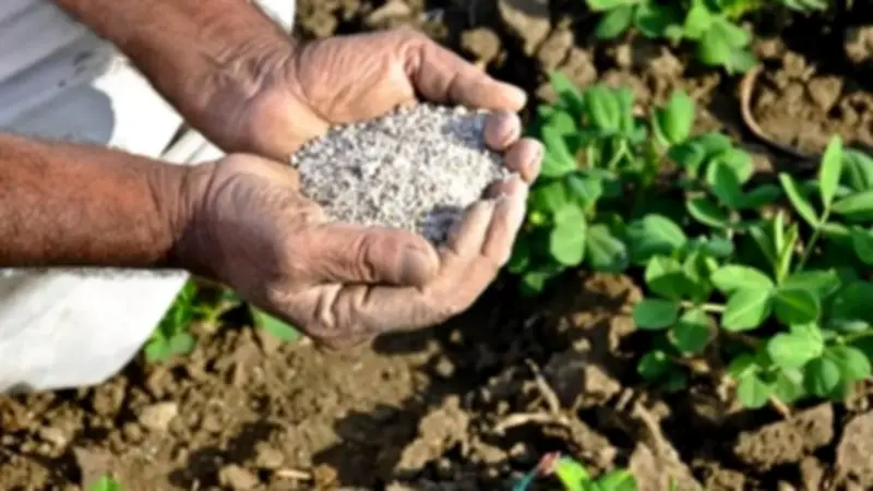 فضيحة الأسمدة المضروبة في وزارة الزراعة: تحاليل تكشف نقصاً خطيراً في العناصر الغذائية