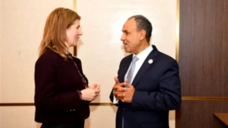 مجلس السلم والأمن الأفريقي يجدد دعمه للسودان والصومال تحت الرئاسة المصرية