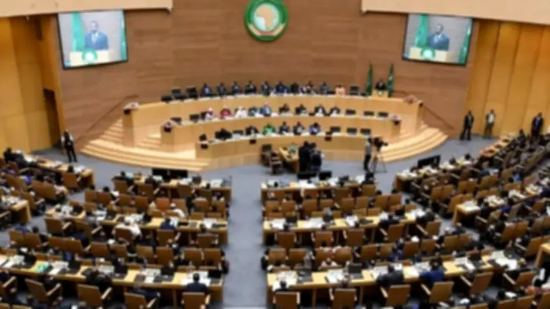 مجلس السلم والأمن الأفريقي يصدر بيانين دعماً للصومال والسودان تحت الرئاسة المصرية