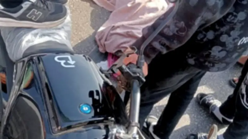 التحفظ على قائد مقطورة تسبب في حادث مروع بالصحراوي: وفاة شخصين وإصابة آخرين