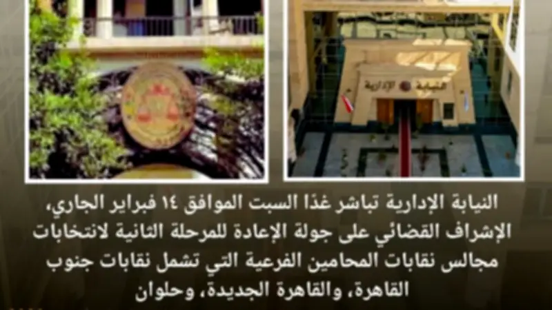 النيابة الإدارية تشرف على جولة الإعادة لانتخابات نقابات المحامين الفرعية