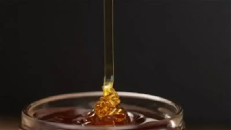 عسل السدر الجبلي: كنز طبيعي لتعزيز المناعة وتحسين الصحة العامة