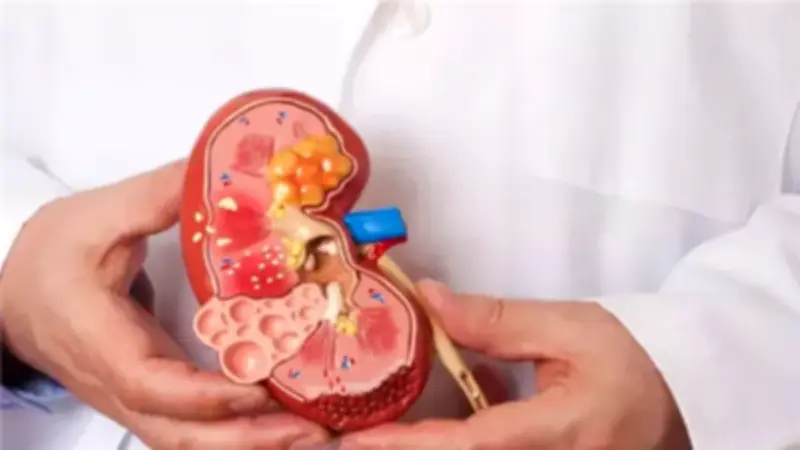 الصحة تقدم إرشادات طبية لضمان صيام آمن لمرضى القلب والكلى في رمضان