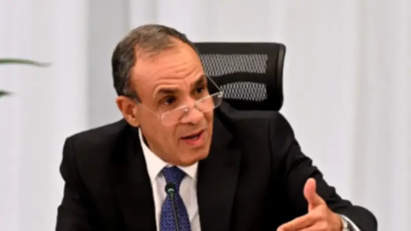 وزير الخارجية: السيسي يؤكد أن صون الدولة الوطنية أساس لأمن أفريقيا