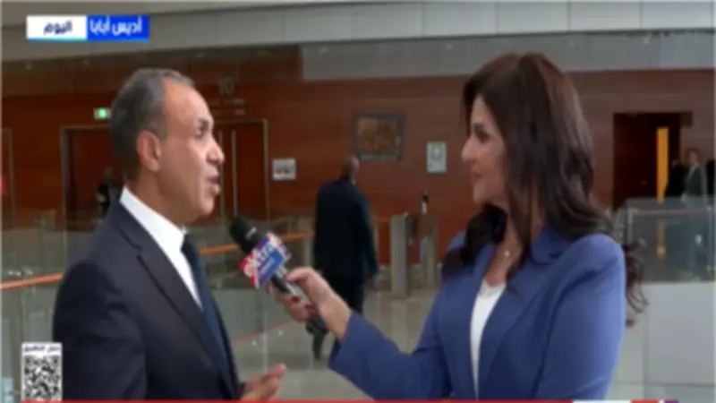 توافق أفريقي واسع على المبادئ المصرية للسلم والأمن خلال رئاسة مجلس الاتحاد الأفريقي