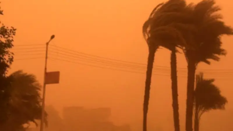 الأرصاد: ارتفاع حاد في درجات الحرارة غدًا السبت مع توقعات بموجة دافئة مؤقتة