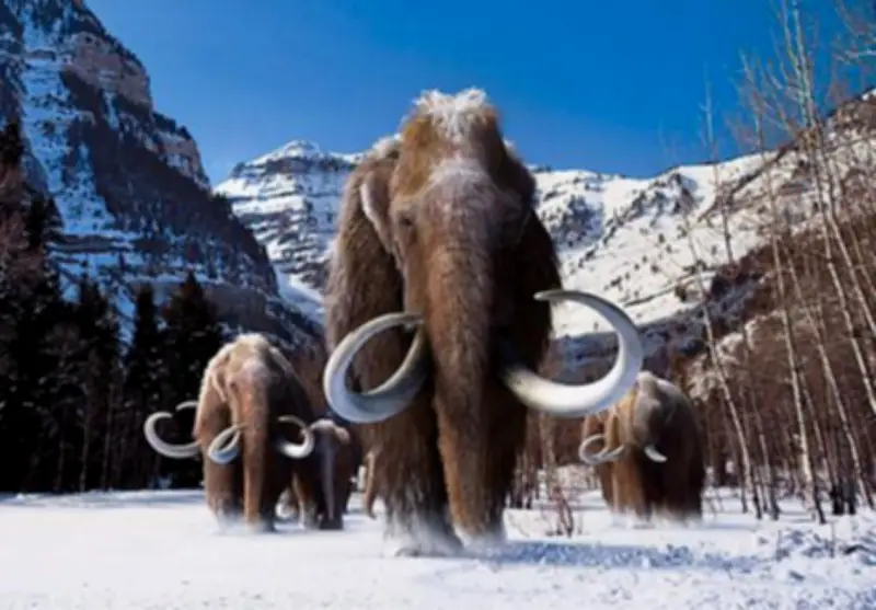 اكتشاف أثري في ولاية أوريغون قد يعيد كتابة تاريخ البشرية في أمريكا