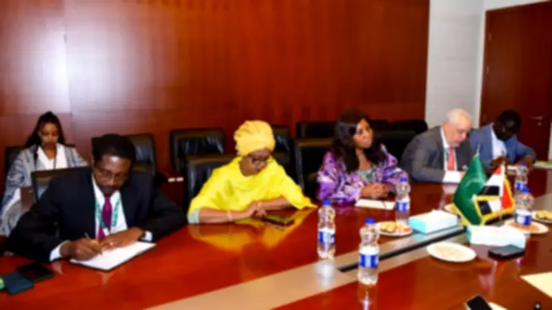 وزير الخارجية المصري: الموقف الإفريقي الموحد حول الديون خطوة محورية للتنسيق القاري