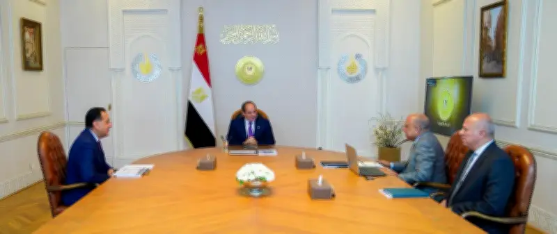 عاجل: السيسي يحذر من ضرورة استيعاب ارتفاع الأحمال الكهربائية غير المسبوقة