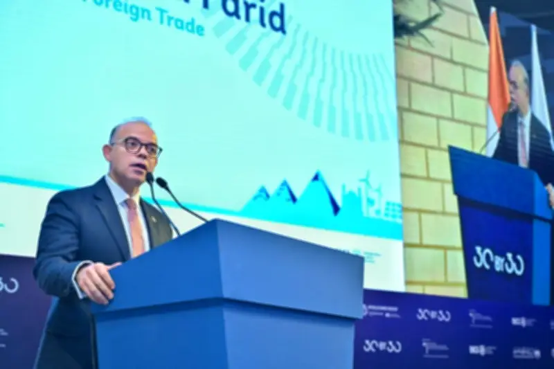 وزير الاستثمار يعلن بناء قاعدة بيانات للانبعاثات الكربونية لتعزيز التمويل الأخضر