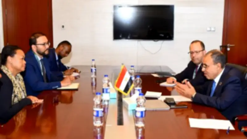 وزير الخارجية يبحث مع مديرة الآلية الأفريقية دعم الإصلاح المؤسسي في القارة